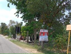 Pemasangan Alat Peraga Kampanye di Pohon Berpotensi Merusak Lingkungan