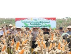 Polres Nganjuk Dukung Swasembada Pangan Lewat Panen Raya Jagung Serentak di Rejoso