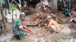 Komsos Babinsa Kedamean Dukung Pengembangan Usaha Rongsok Desa Binaan