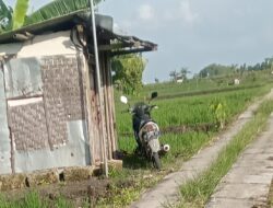 Pemerintah Desa Sumberarum kecamatan Ngraho Kabupaten Bojonegoro dalam pengerjaan Proyek APBD tahun 2025 diduga menyalahi aturan/Prosedur