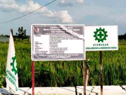 Proyek Drainase Ngraho Diduga Cacat Teknis: Ratusan Juta Rupiah Mengalir Sia-Sia