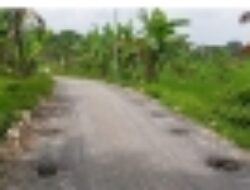 Proyek Jalan Rigid Beton BKD 2025 di Sambong Dipertanyakan Warga, Paving Blok Ditimbun Tanpa Dibongkar