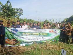 Ketua PJI Bojonegoro: Tanam 600 Pohon Produktif, Wujud Nyata Cegah Banjir dan Longsor